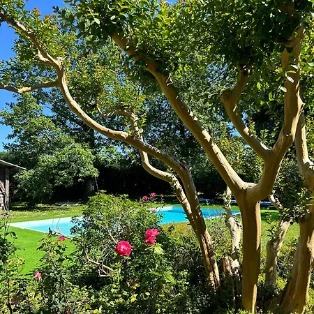 Maison De Bazas Holiday home Lignan-de-Bazas